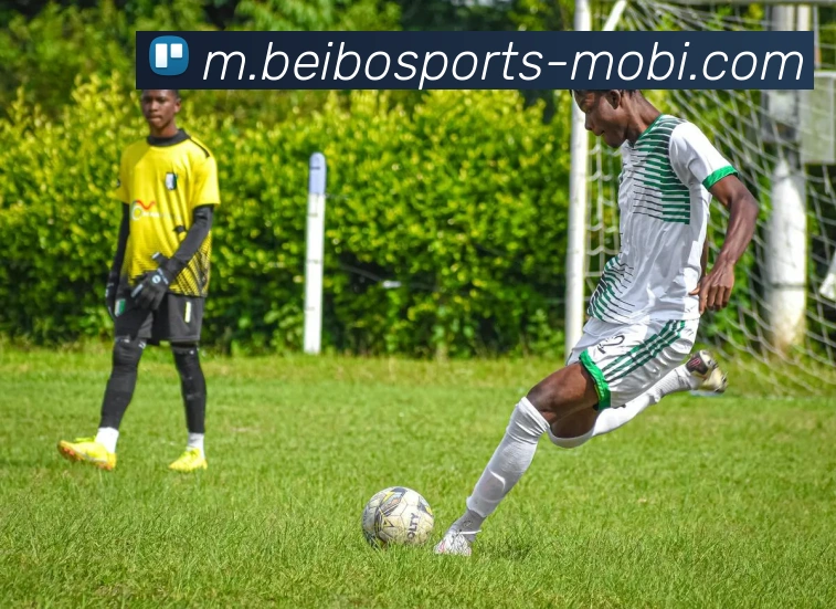 贝博体育平台生态图