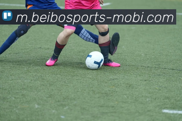 贝博体育全站App